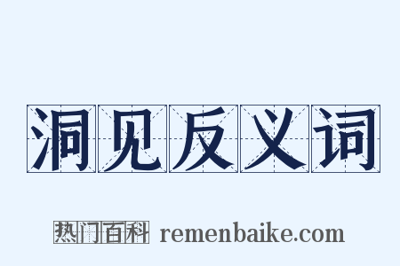 洞见反义词是什么意思的图片